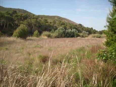 Parcela en venta - Calasparra