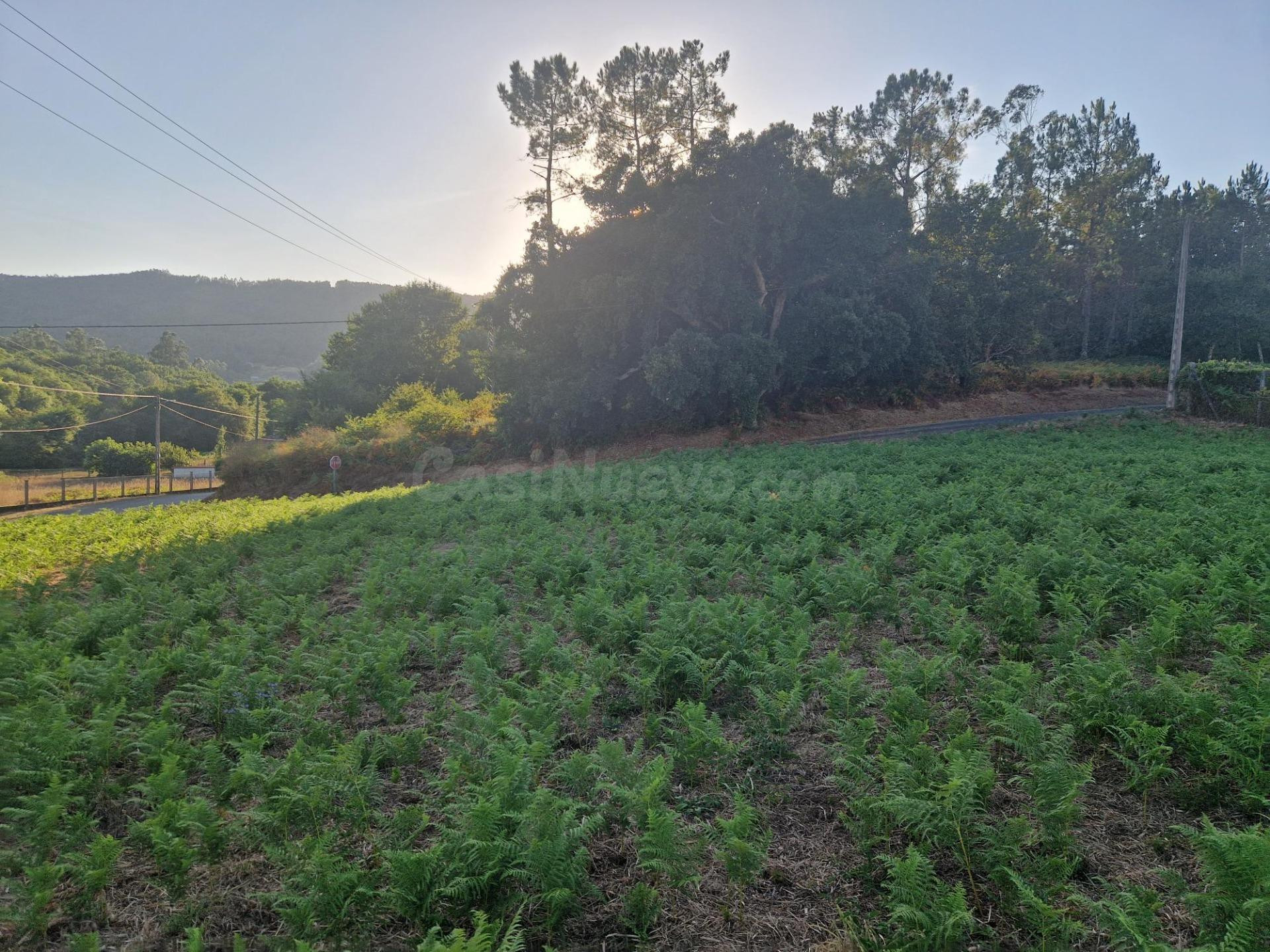 SOLAR EN VENTA EN PUENTEVEA - foto 5