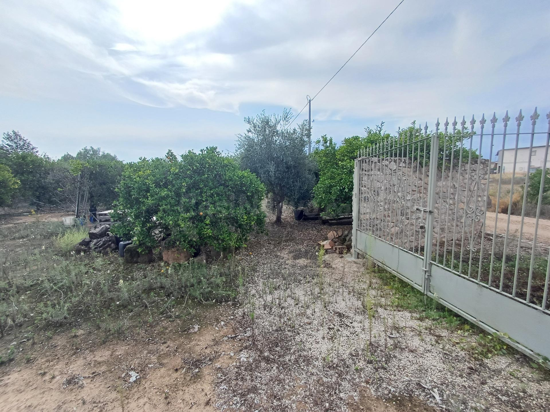 Oportunidad única: terreno rústico en Sangonera la Seca - foto 2