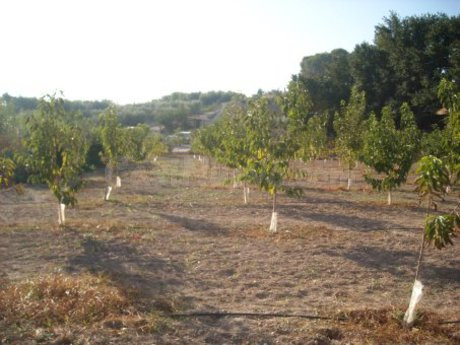Parcela 25m² en venta - Calasparra