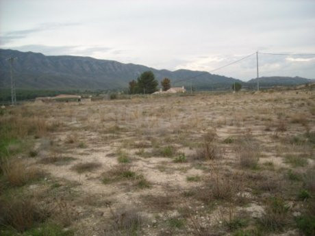 Parcela 5685m² en venta - Calasparra