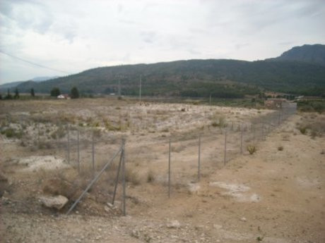 Parcela 5685m² en venta - Calasparra - foto 4