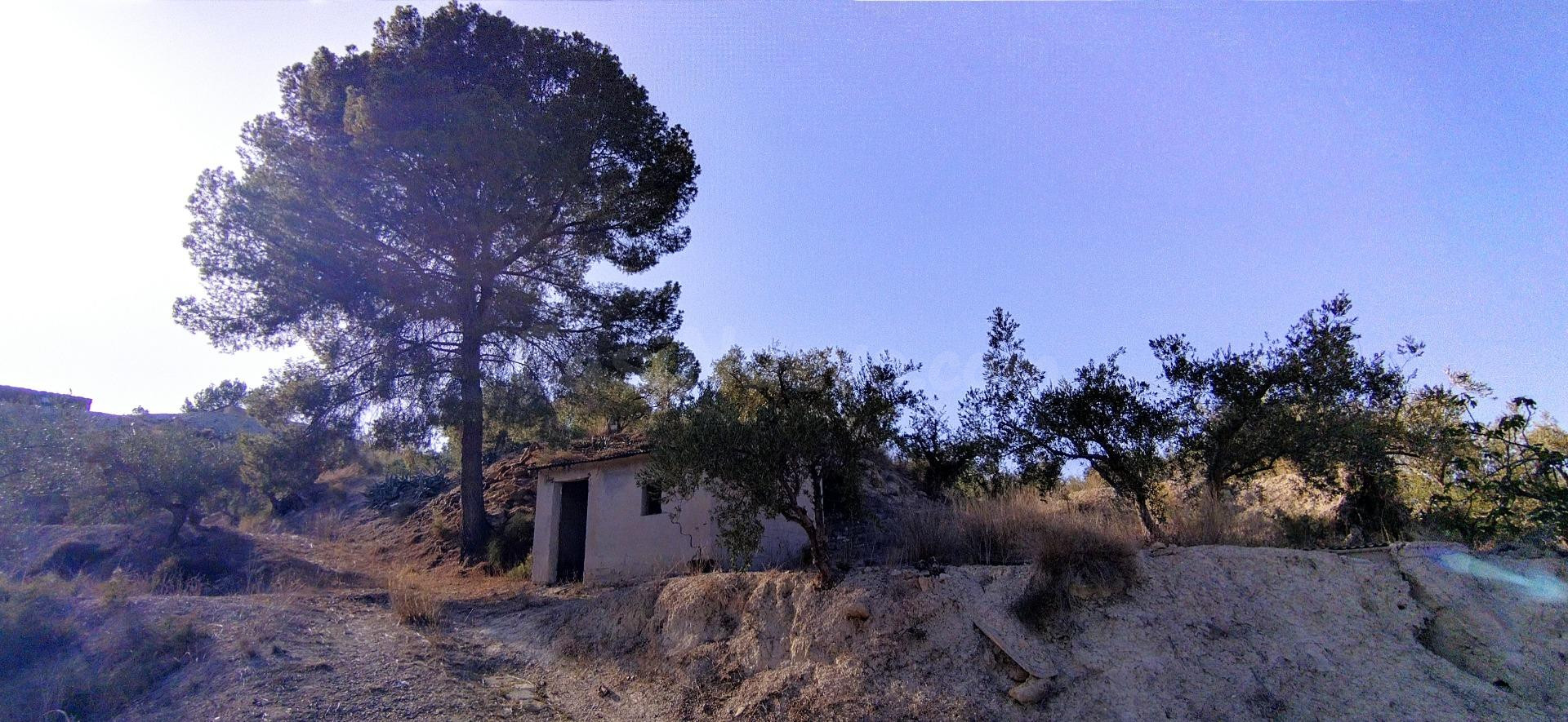 Parcela en venta - Calasparra