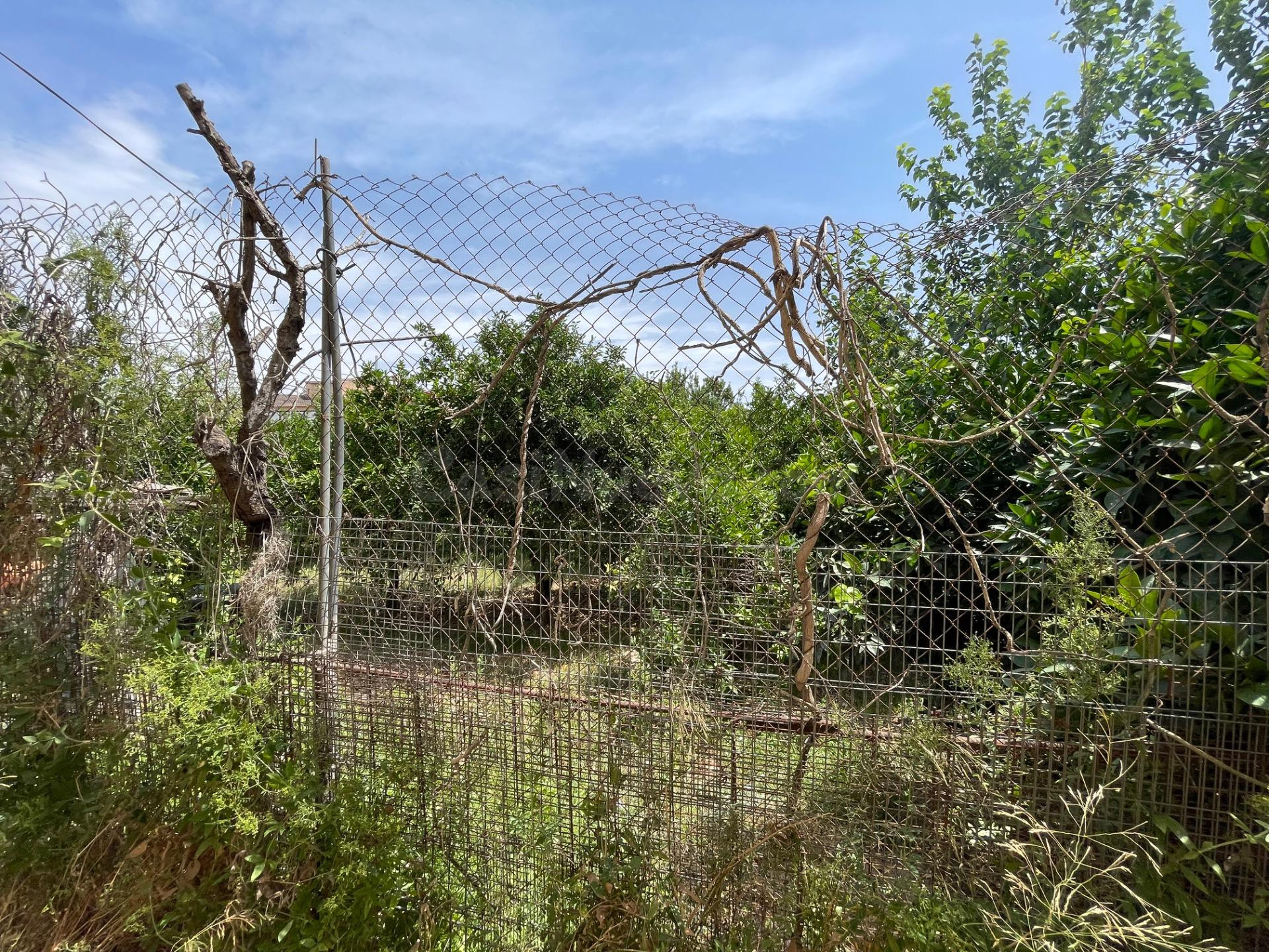 Parcela Vivienda Unifamiliar en Huerta de Aljucer - foto 3