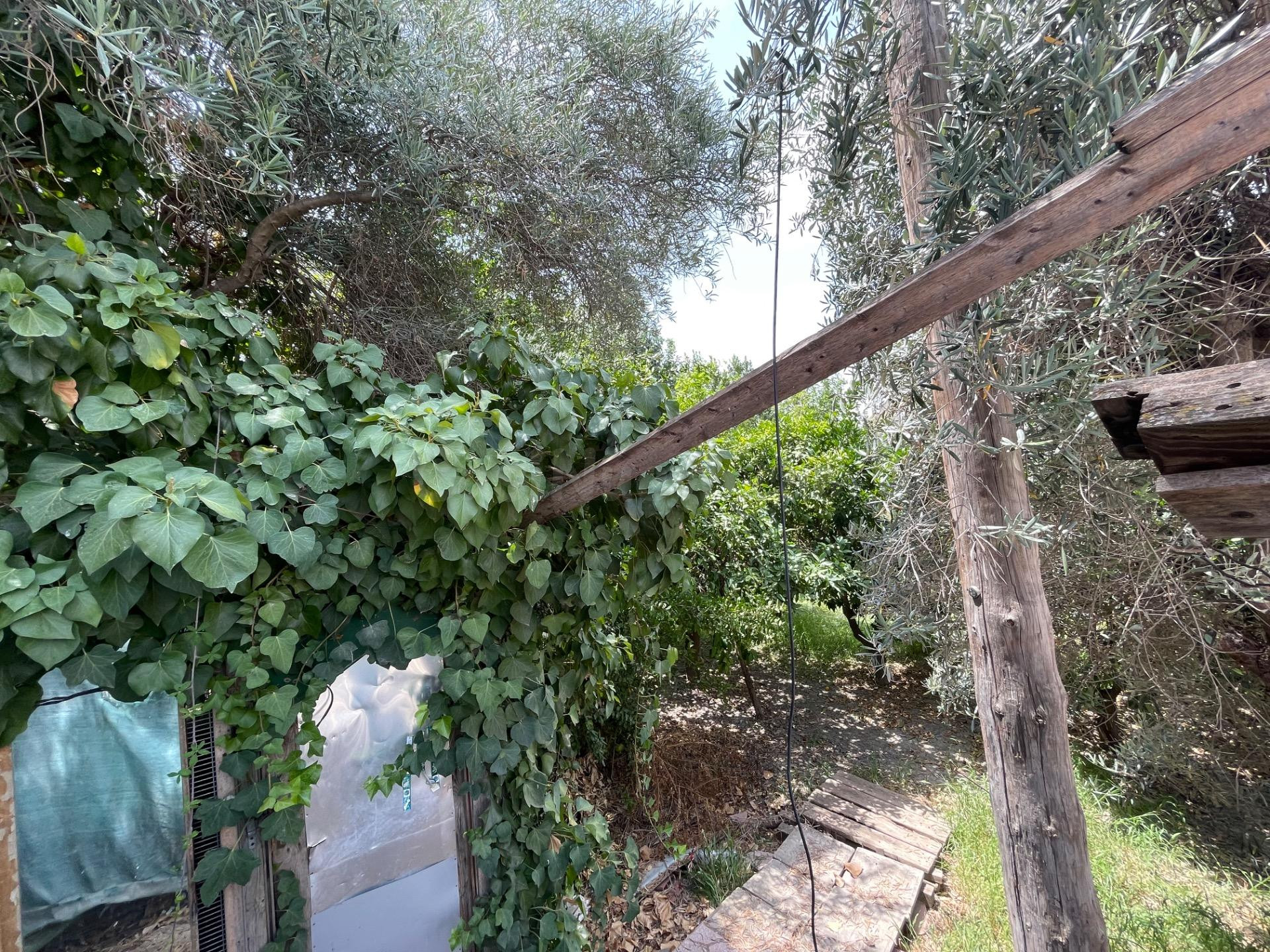 Parcela Vivienda Unifamiliar en Huerta de Aljucer - foto 5