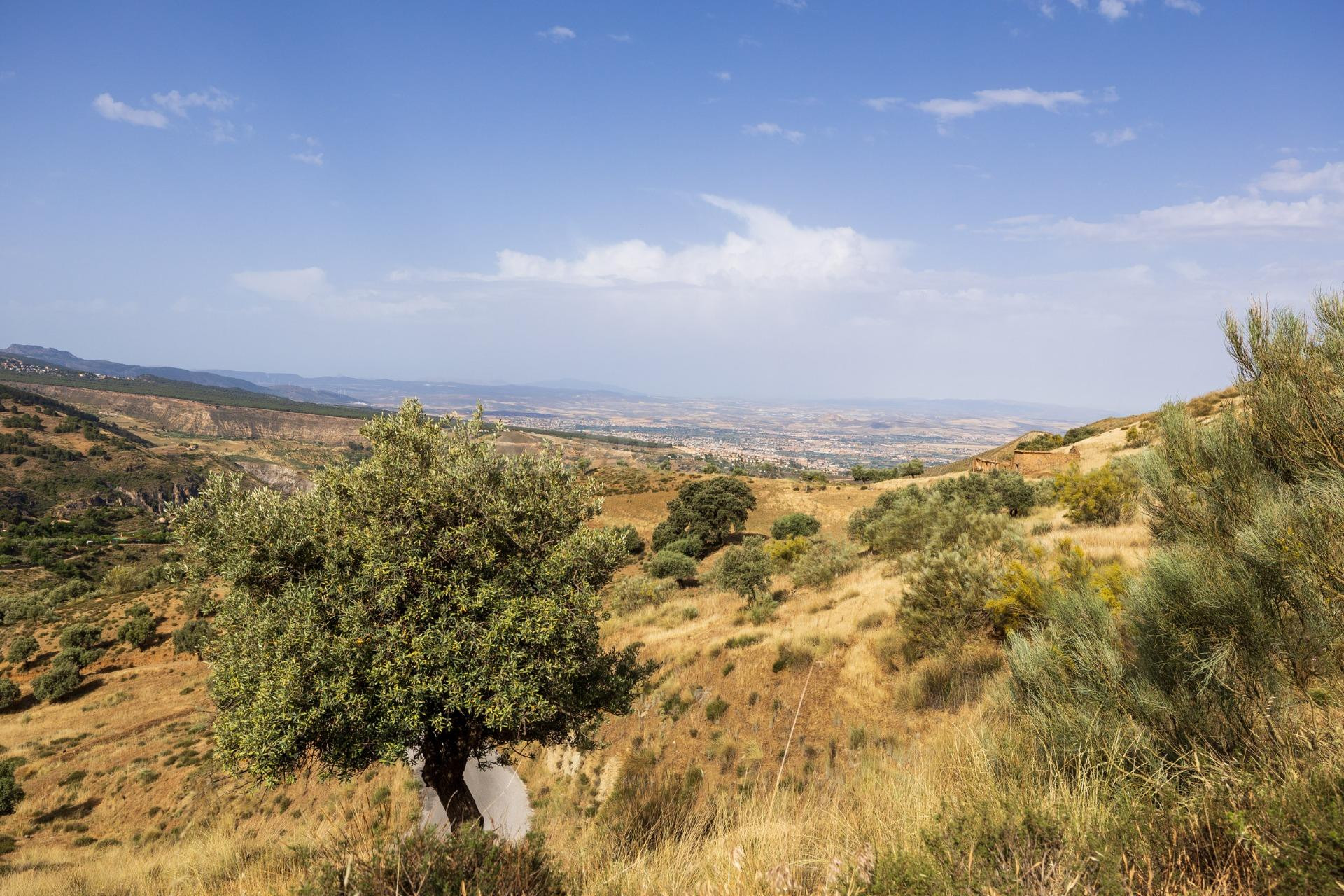 EN VENTA  MARAVILLOSO PARAJE NATURAL CON DOS CONEXIONES DE A - foto 4