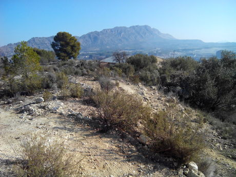 Parcela en venta - Calasparra