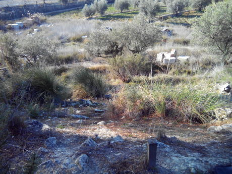 Parcela en venta - Calasparra - foto 2