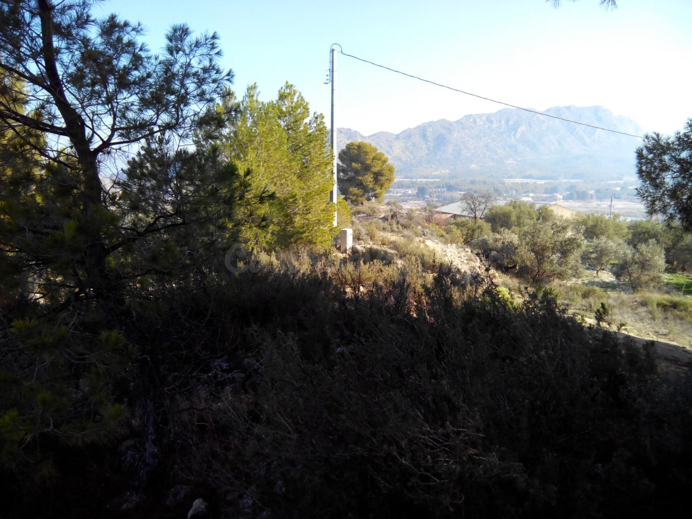 Parcela en venta - Calasparra - foto 3