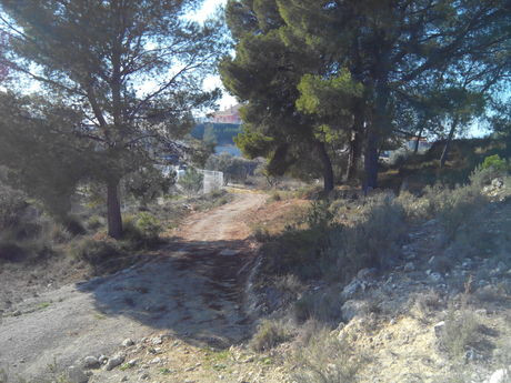Parcela en venta - Calasparra - foto 5