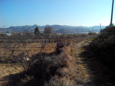 Parcela 19000m² en venta - Cehegín