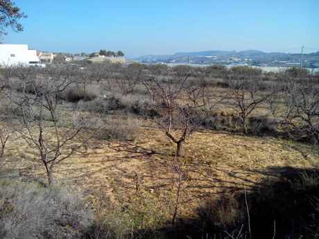 Parcela 19000m² en venta - Cehegín - foto 2