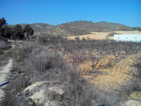 Parcela 19000m² en venta - Cehegín - foto 3