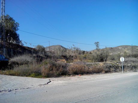 Parcela 19000m² en venta - Cehegín - foto 5