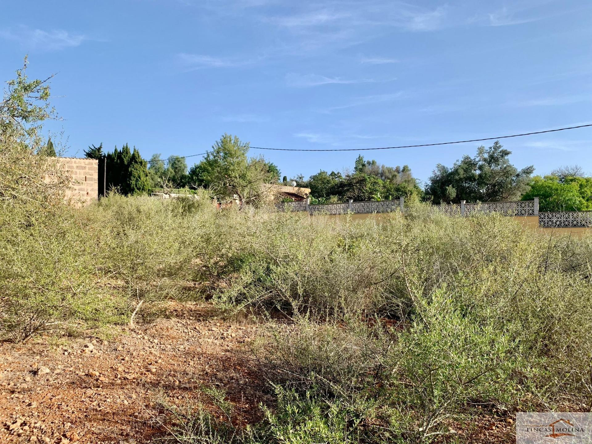 RÚSTICA EN VENTA. URBANIZABLE. SAN JORDI. PALMA DE MALLORCA
