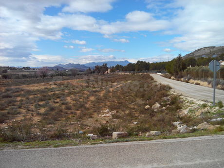 Parcela en venta - Calasparra