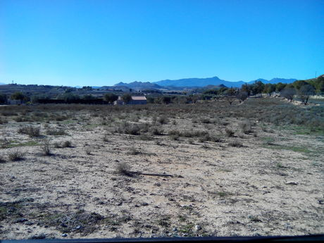Parcela en venta - Calasparra - foto 2