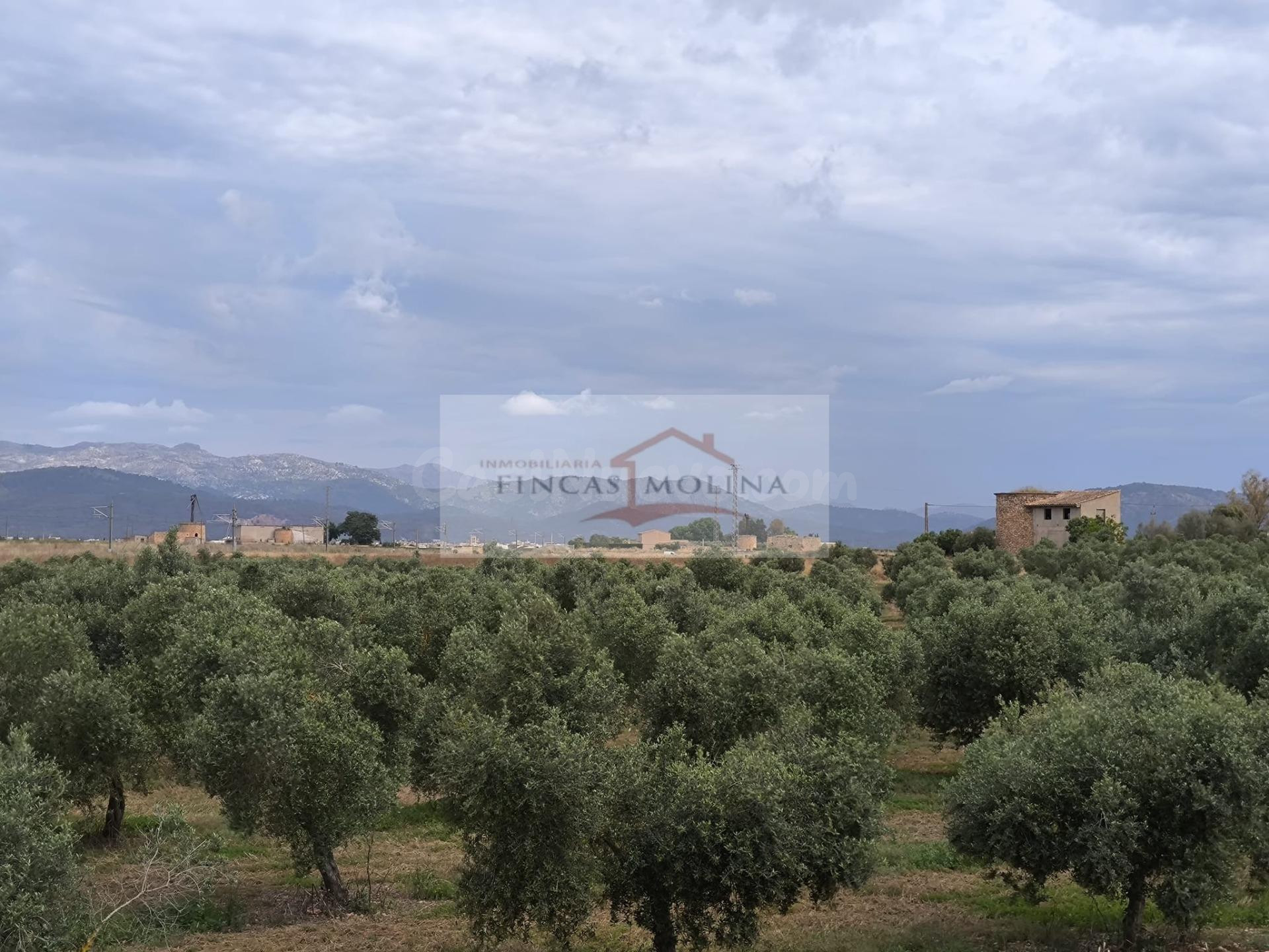 FINCA RUSTICA URBANIZABLE EN VENTA - SA POBLA