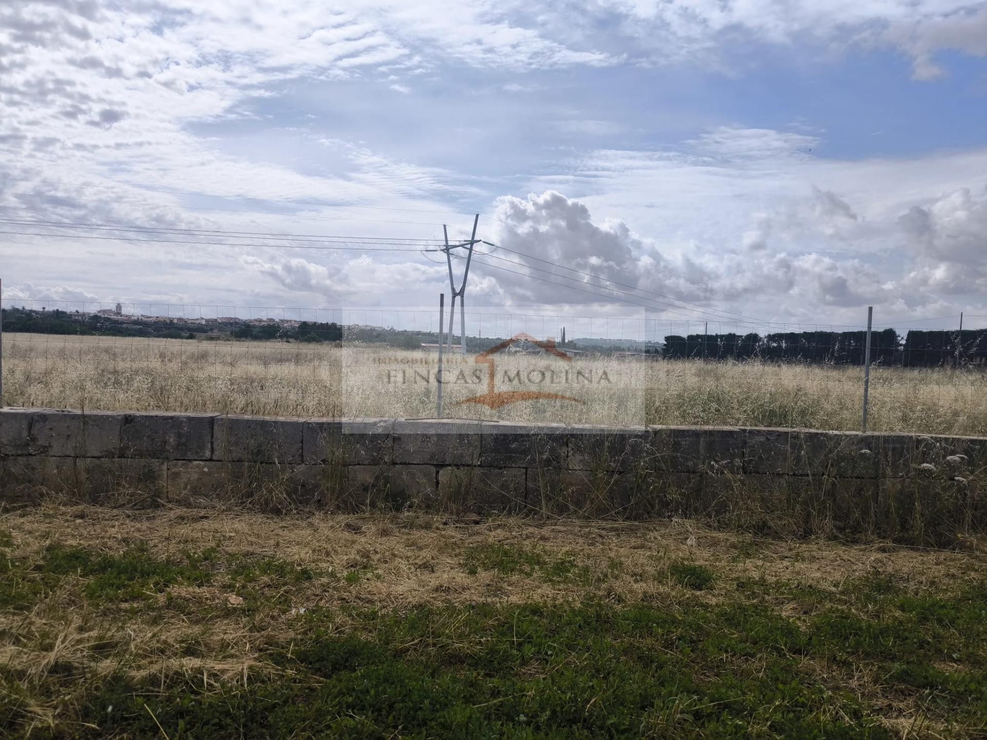 FINCA RUSTICA URBANIZABLE EN VENTA - SA POBLA - foto 2