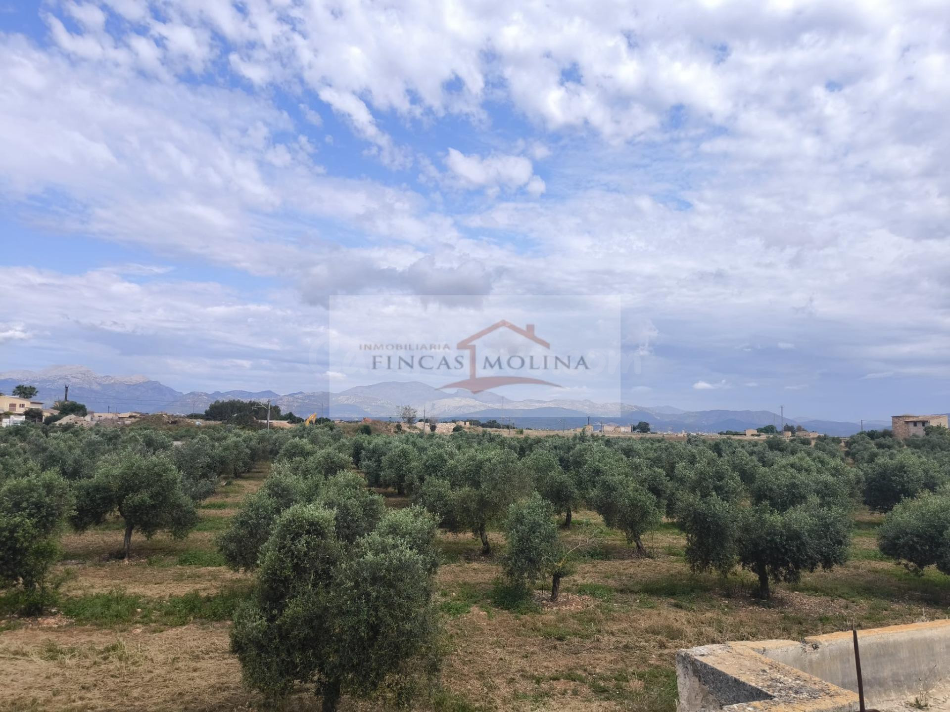 FINCA RUSTICA URBANIZABLE EN VENTA - SA POBLA - foto 3