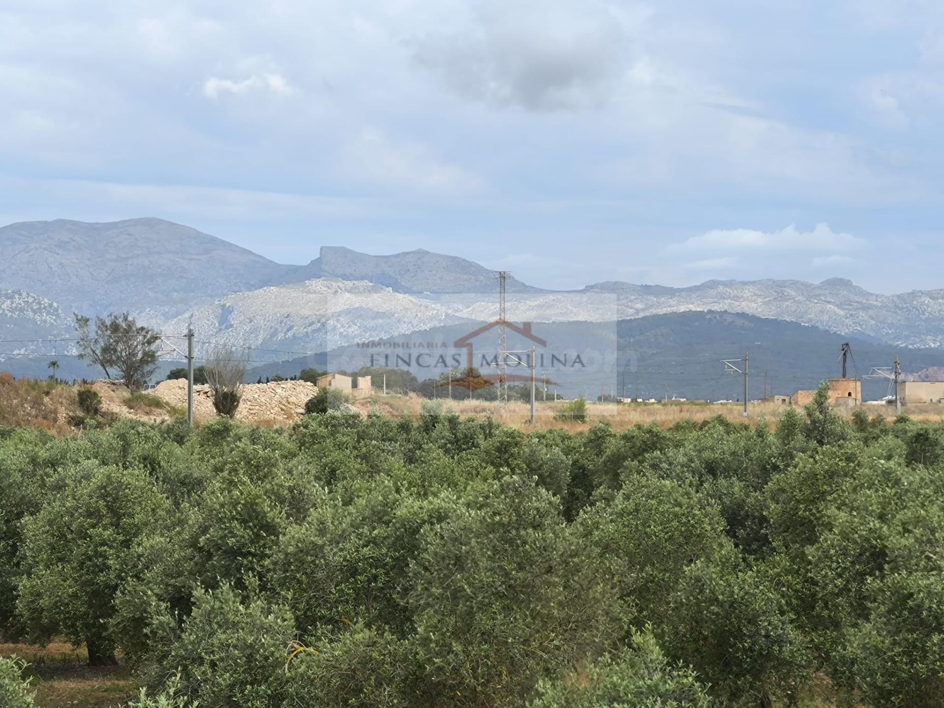 FINCA RUSTICA URBANIZABLE EN VENTA - SA POBLA - foto 4