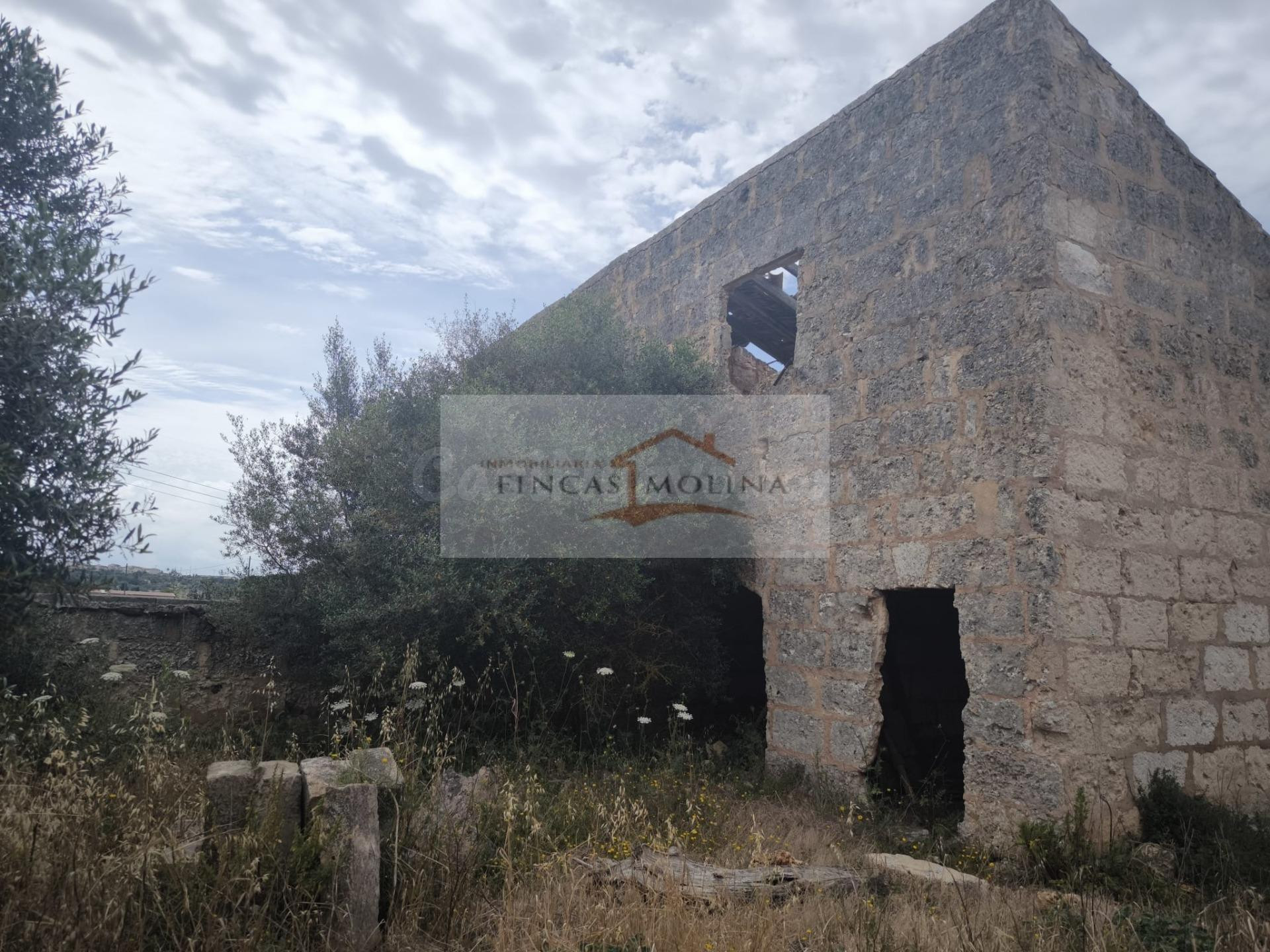 FINCA RUSTICA URBANIZABLE EN VENTA - SA POBLA - foto 5