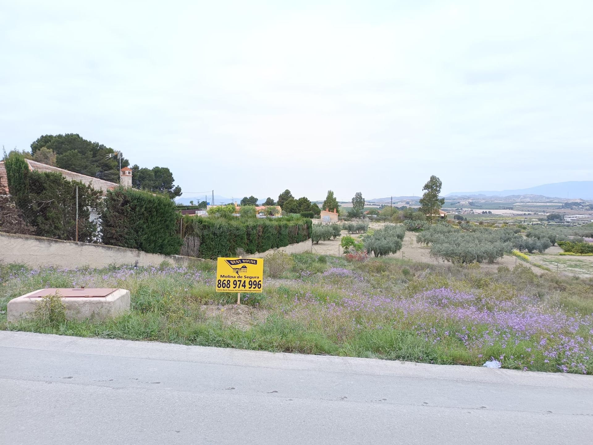 terreno rústico de 1.486 m2, en la Urbanización Los Valiente