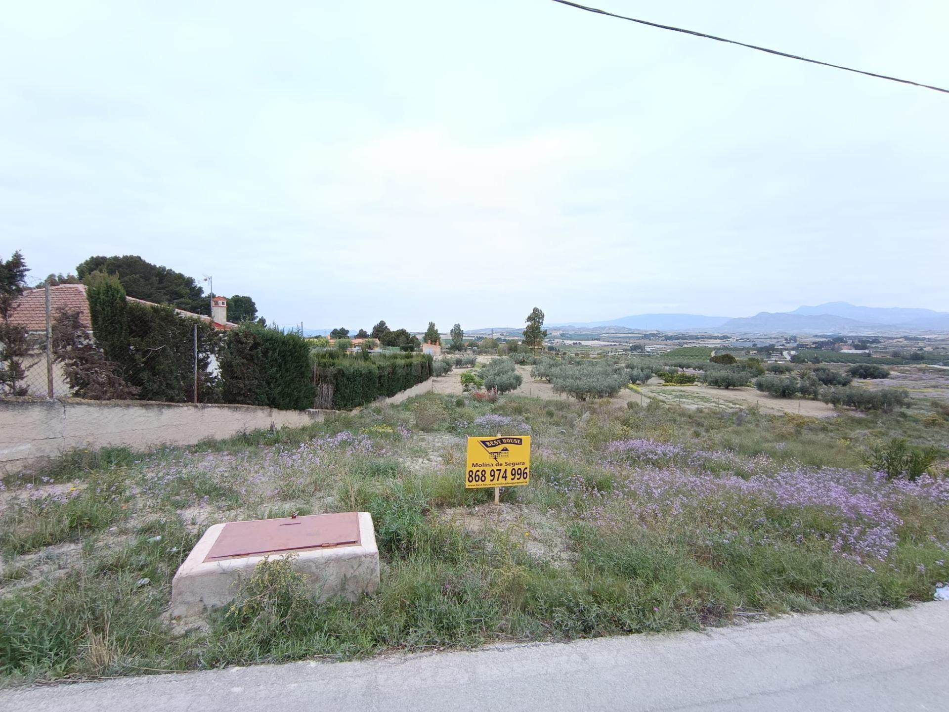 terreno rústico de 1.486 m2, en la Urbanización Los Valiente - foto 3