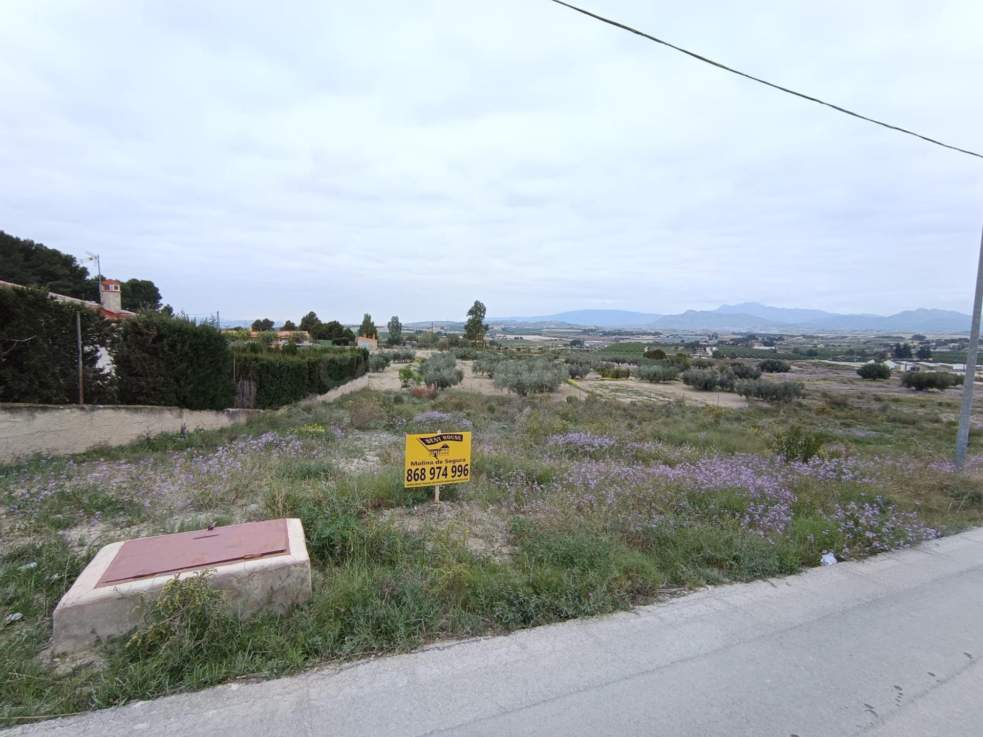 terreno rústico de 1.486 m2, en la Urbanización Los Valiente - foto 5