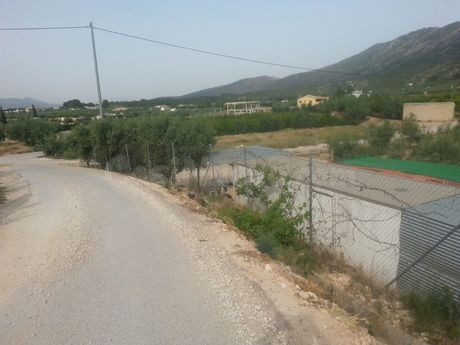 Parcela 1571m² en venta - Calasparra - foto 2