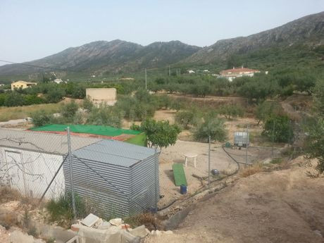 Parcela 1571m² en venta - Calasparra - foto 4