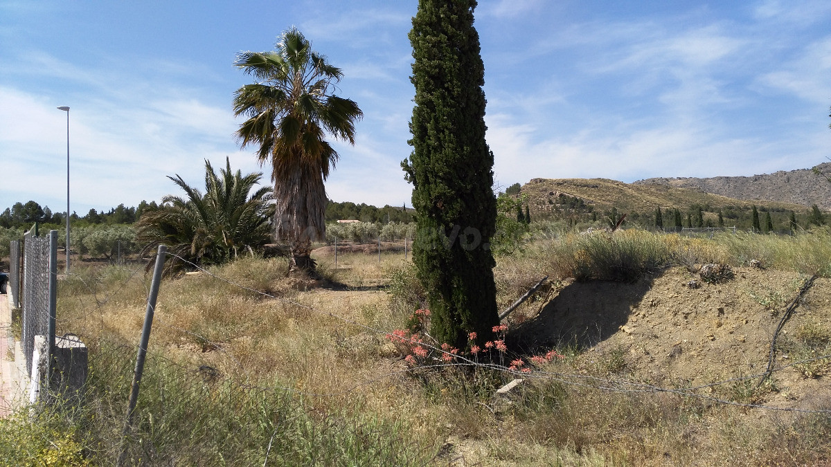 Terreno industrial en venta - Calasparra - foto 3