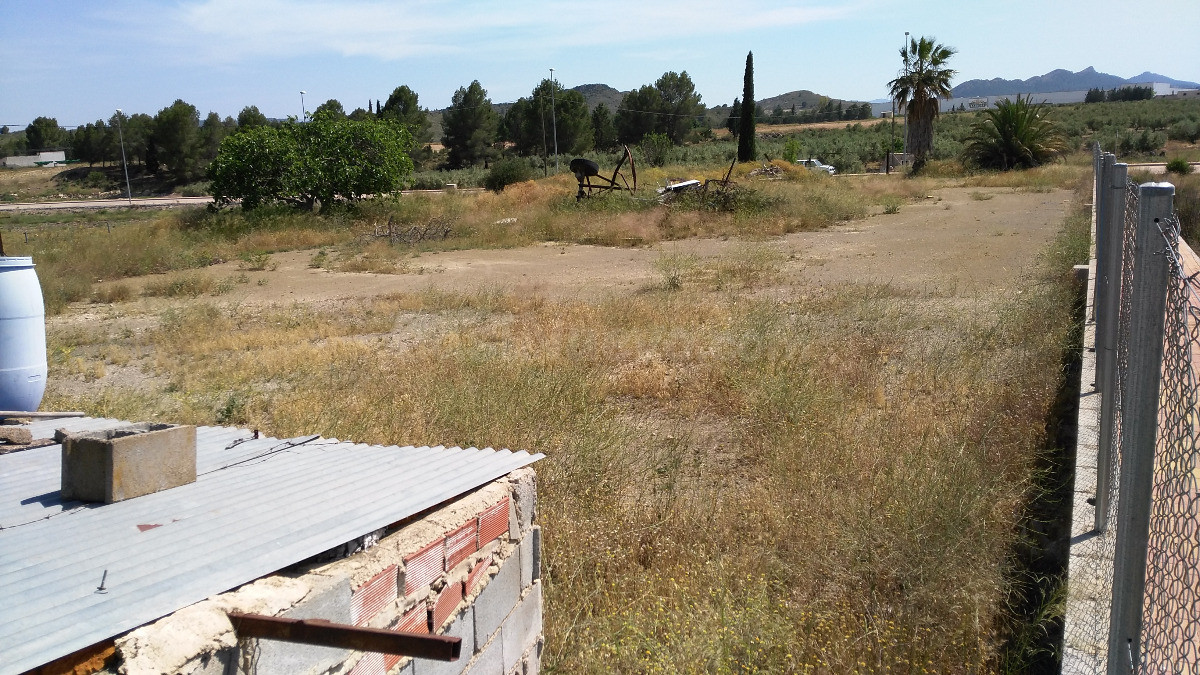 Terreno industrial en venta - Calasparra - foto 4