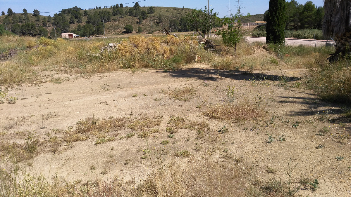 Terreno industrial en venta - Calasparra - foto 5