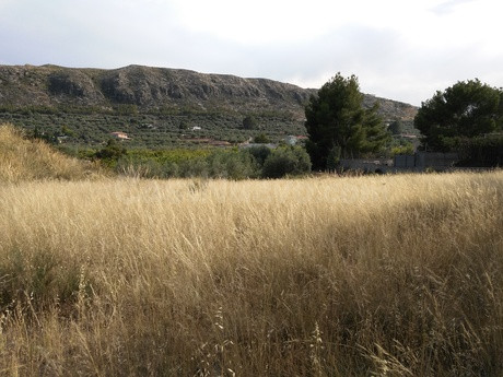 Parcela en venta - Calasparra