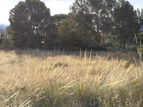 Parcela en venta - Calasparra - foto 2