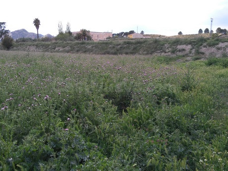 Parcela 280m² en venta - Calasparra