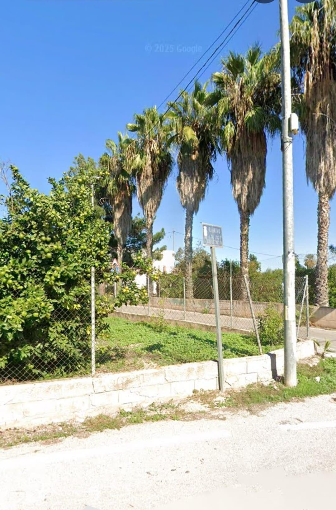++Construye tu hogar en plena huerta murciana | 1.750 m2 en  - foto 2