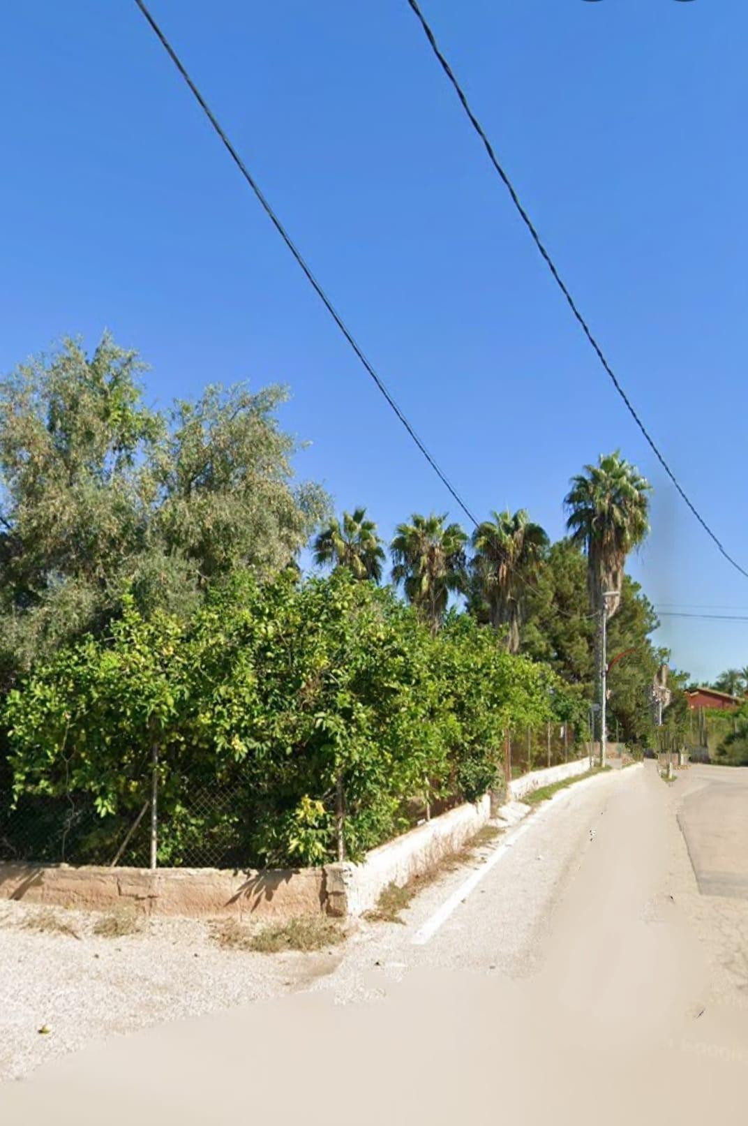 ++Construye tu hogar en plena huerta murciana | 1.750 m2 en  - foto 3