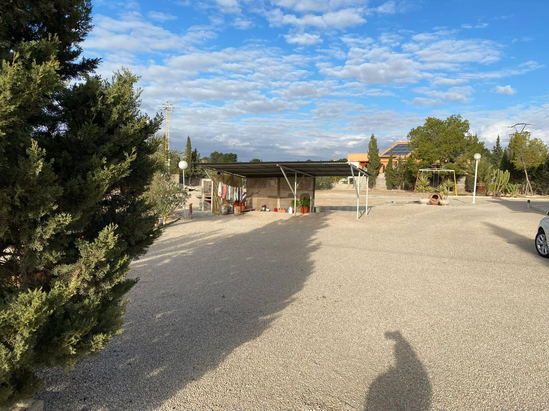 CHALET EN EL PINO EN PARCELA DE 5.000M CON VIVIENDA DE 278M - foto 3