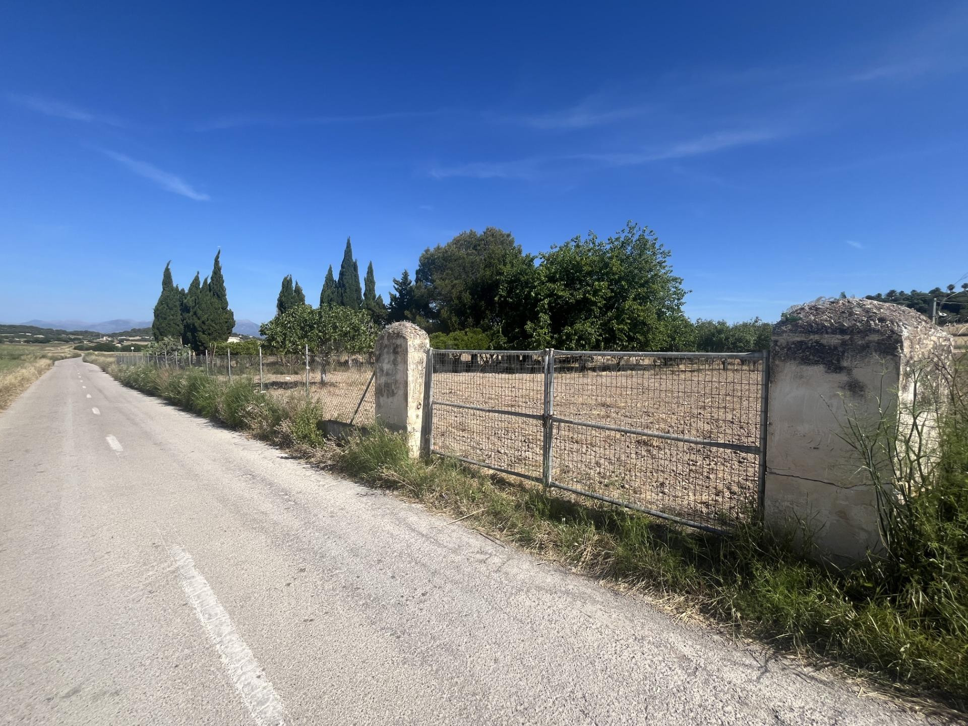 VENTA DE TERRENO RUSTICO EN MURO MALLORCA