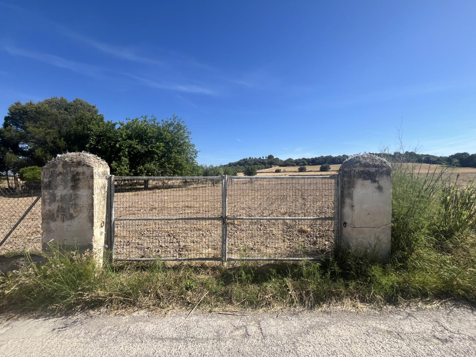 VENTA DE TERRENO RUSTICO EN MURO MALLORCA - foto 2