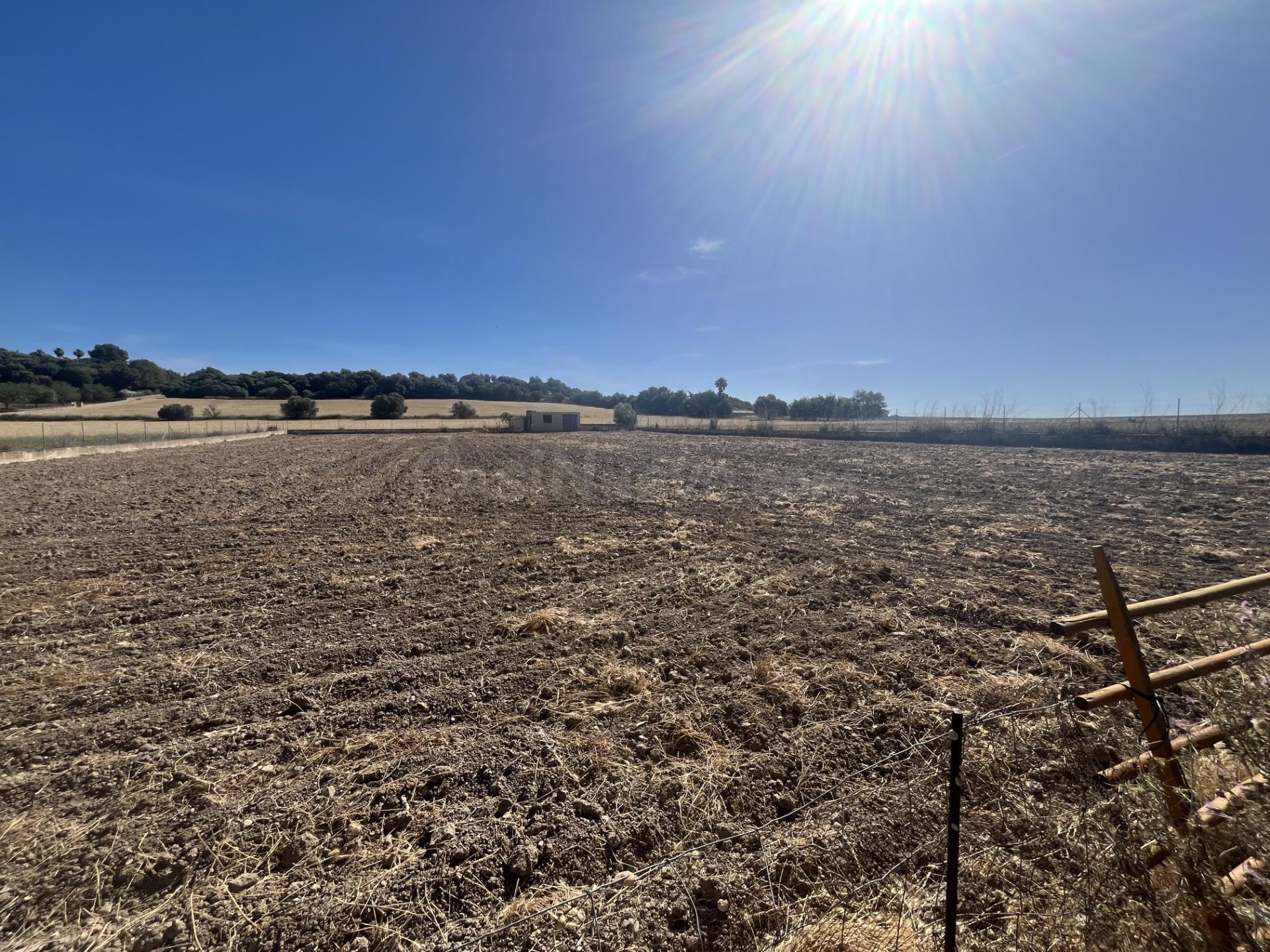 VENTA DE TERRENO RUSTICO EN MURO MALLORCA - foto 3