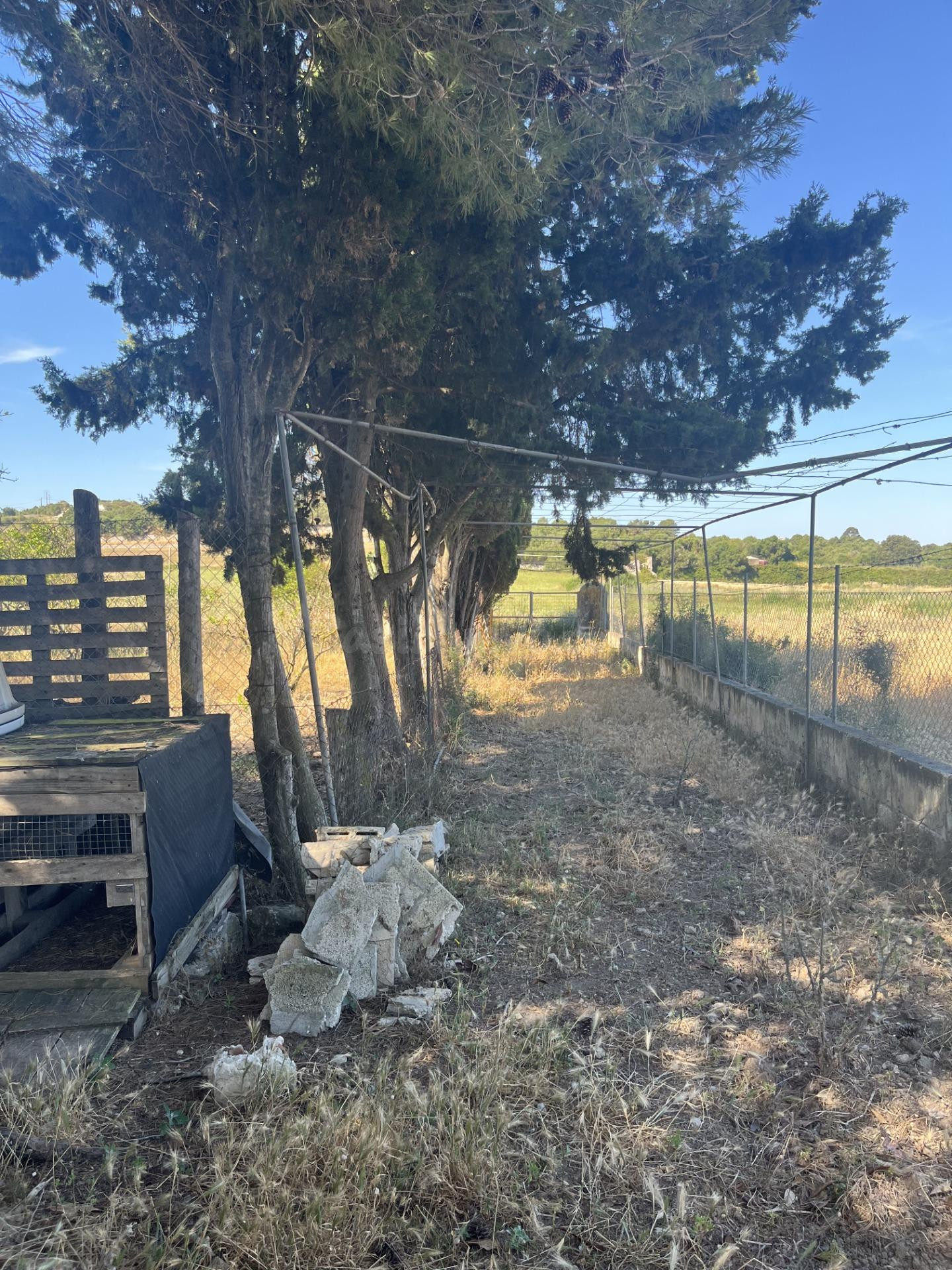 VENTA DE TERRENO RUSTICO EN MURO MALLORCA - foto 4