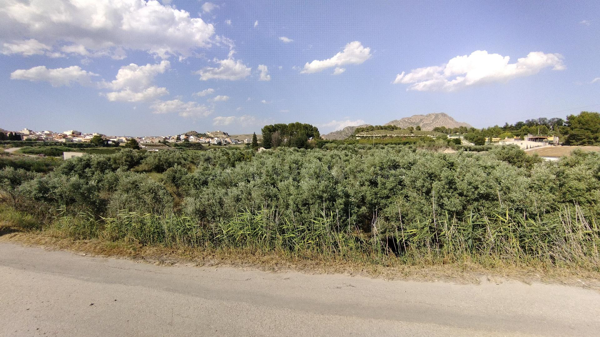 Parcela en venta - Calasparra