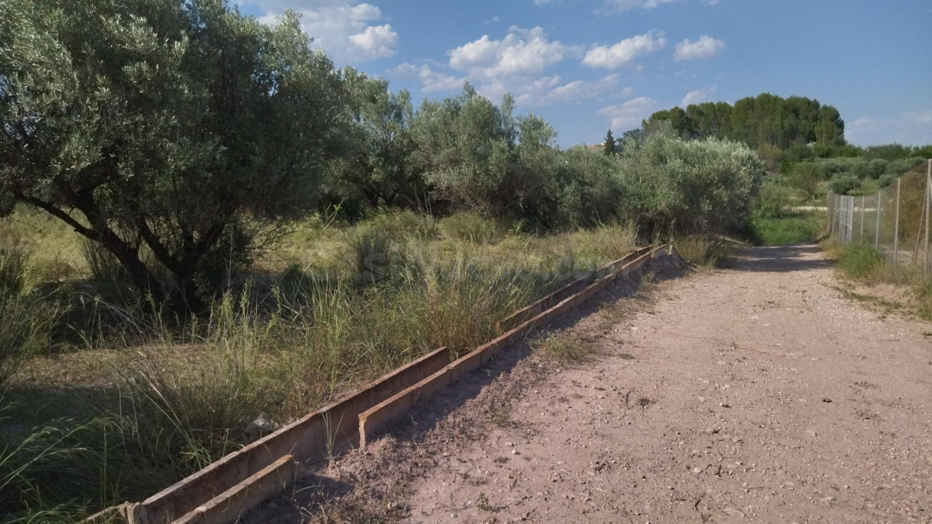 Parcela en venta - Calasparra - foto 3