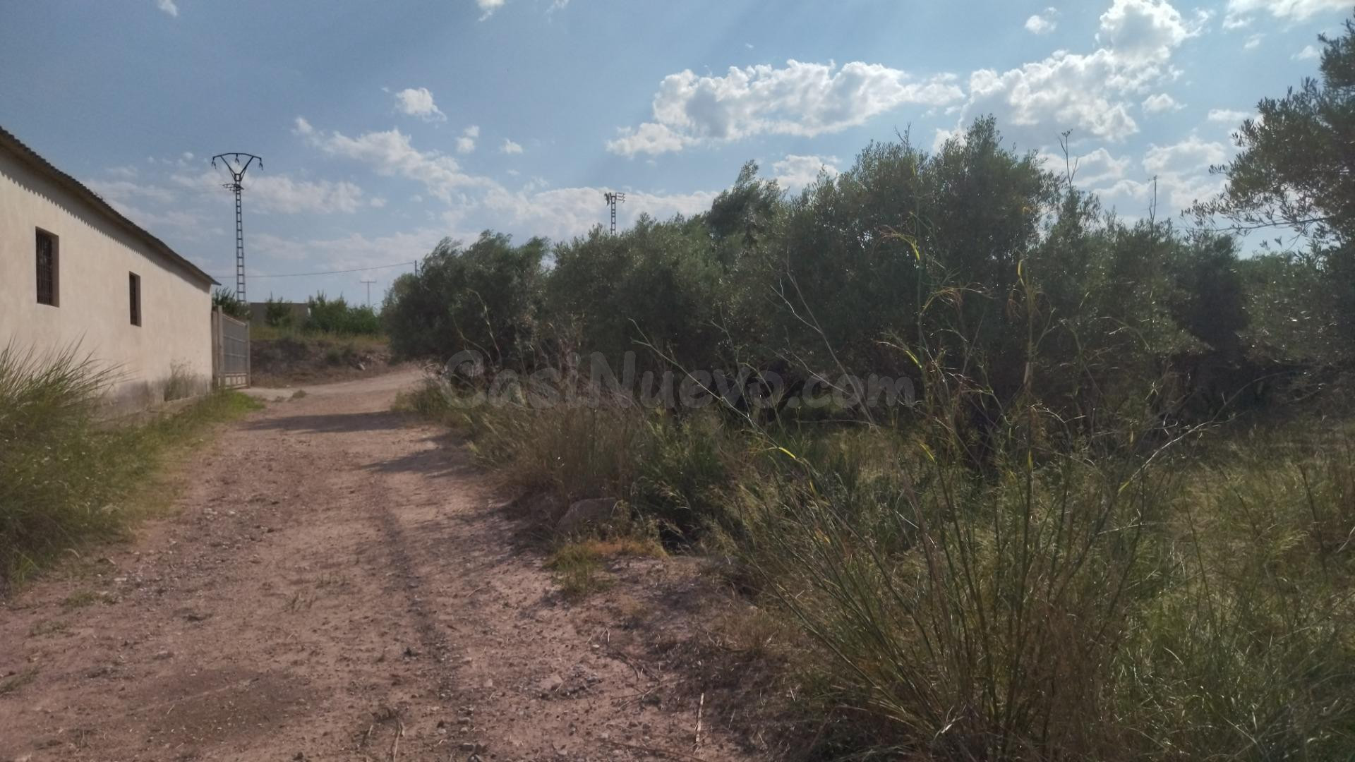Parcela en venta - Calasparra - foto 5
