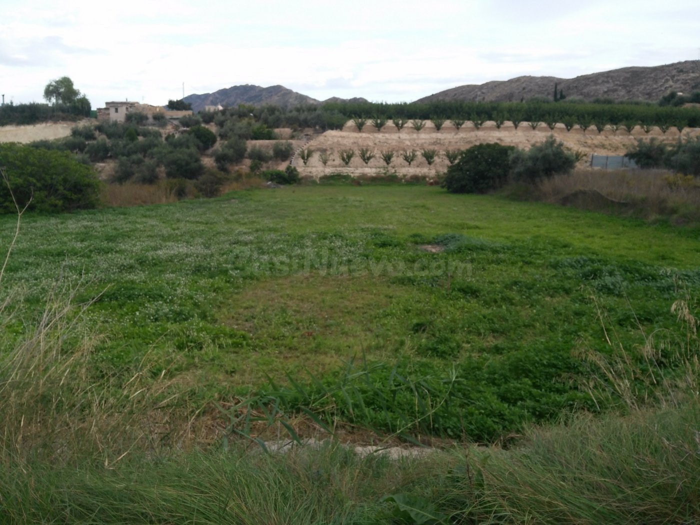 Parcela en venta - Calasparra