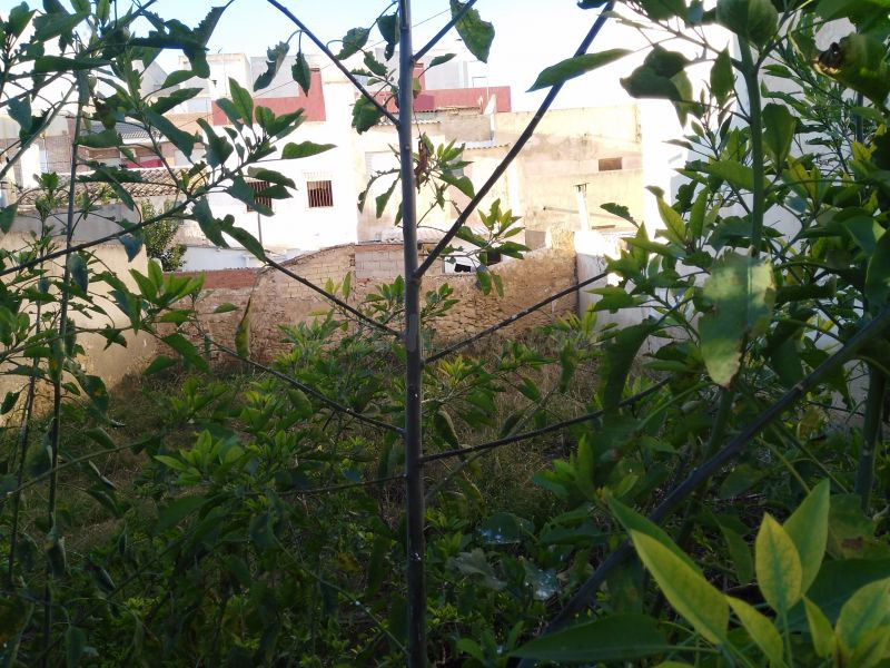 Terreno urbano en venta - Barrio de la alegría - foto 3