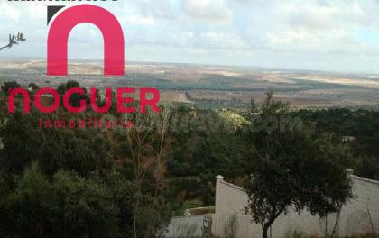 Parcela en venta - Villarrubia - foto 3